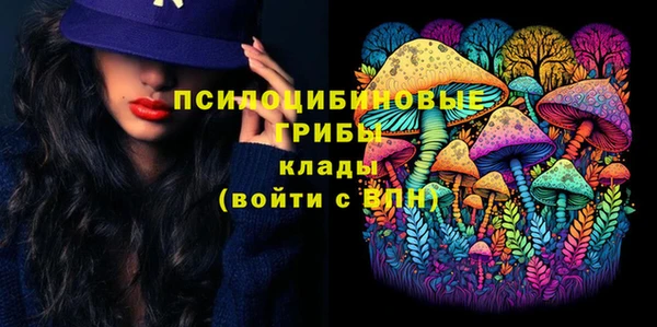 шишки Володарск