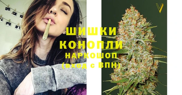 шишки Володарск