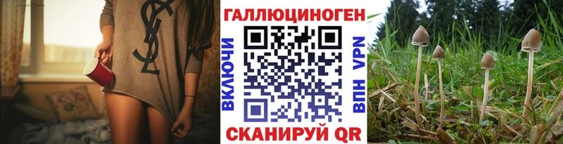 Купить закладки  Североуральск  Псилоцибиновые грибы Psilocybe 