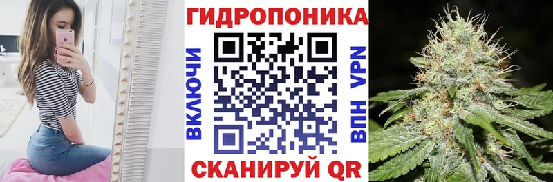 Купить  Североуральск  Бошки марихуана семена 